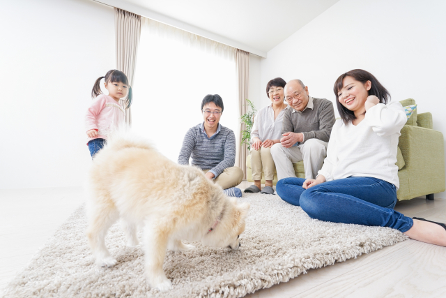 吹田　家族葬